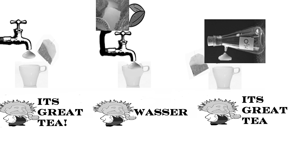 Chomsky Putnam H2O Water Thought-Experiment